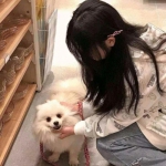 我的小公主巫师手机版下载